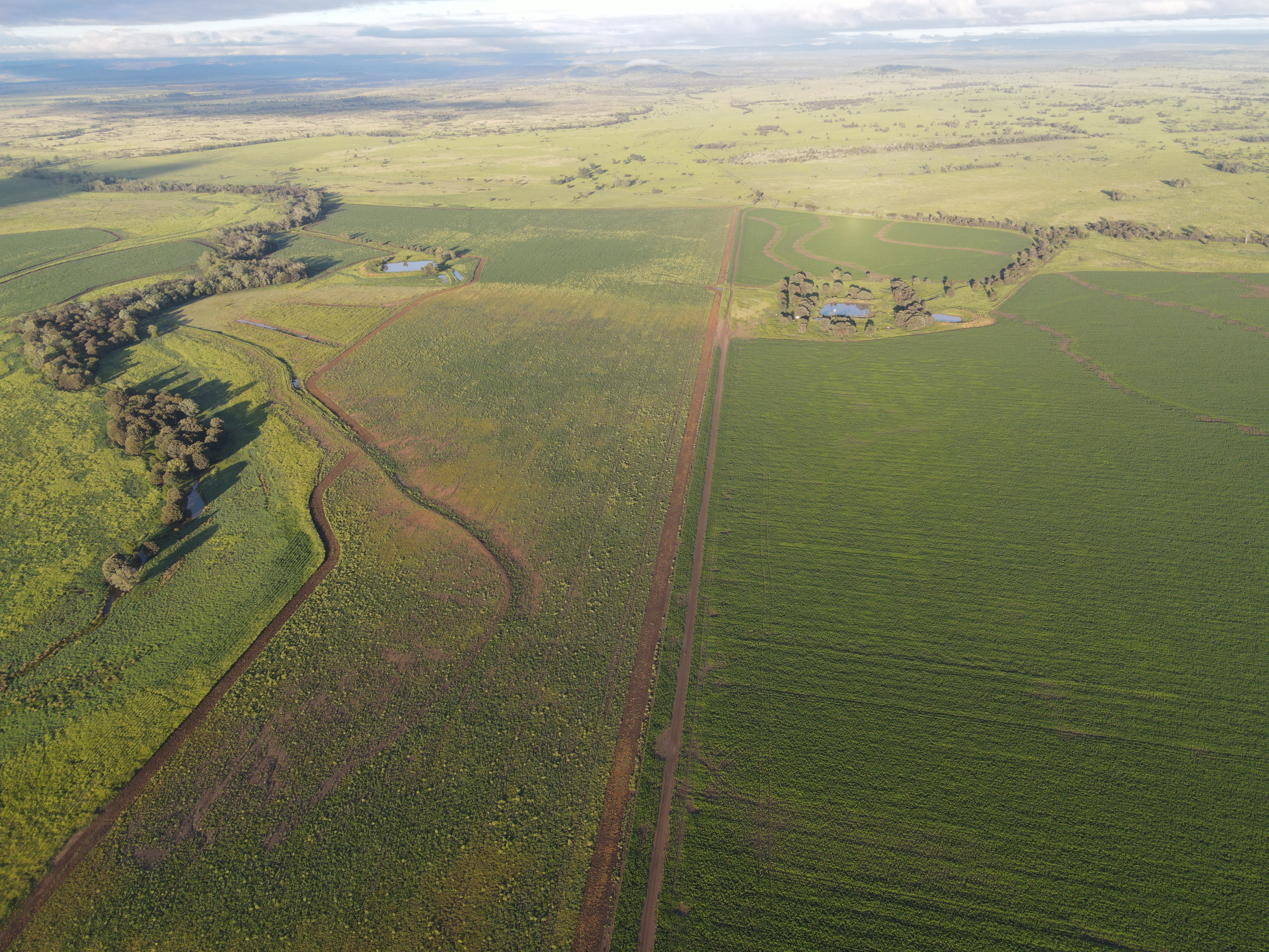 DJI_0336.jpg